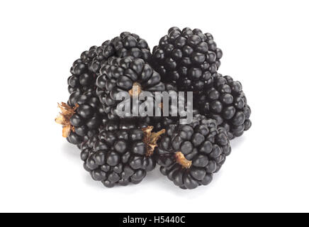 Blackberry fruit closeup isolated on white background Stock Photo