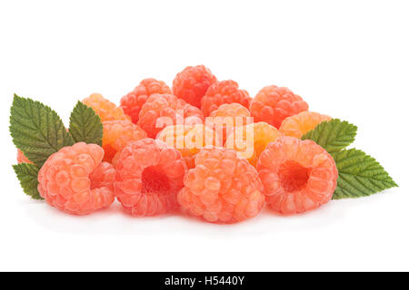 Rose raspberry fruit closeup isolated on white background Stock Photo