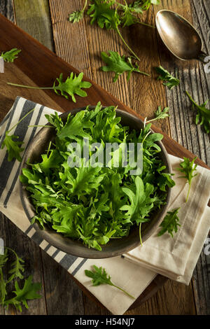 Raw Green Organic Baby Kale in a Bowl Stock Photo