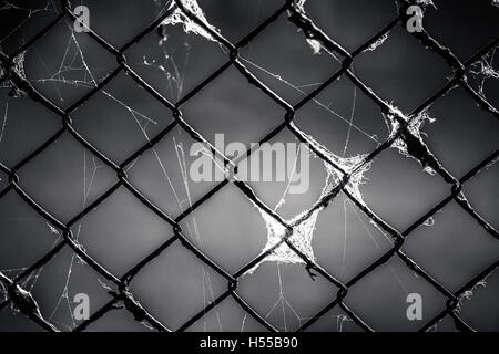 old metal grill in the web Stock Photo