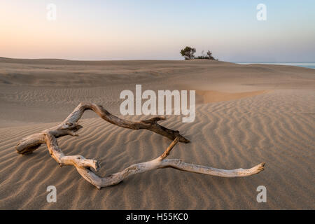 amazing desert view in sunset time Stock Photo