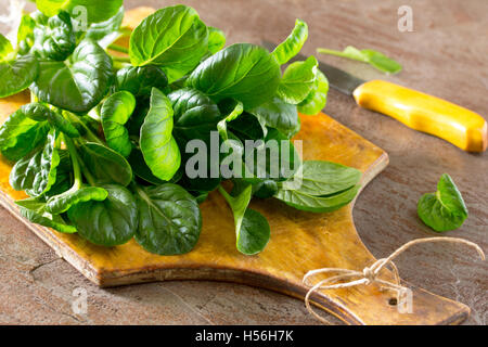 Fresh green salad (spinach, arugula, Swiss chard) beam on a brown background concrete. Stock Photo