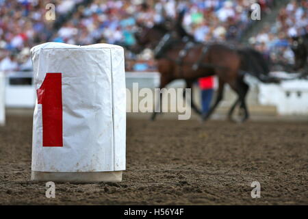 Looking out at the crowd as it stirs from behind Barrel No.1 at the Calgary Stampede Chuck Wagon Races Stock Photo