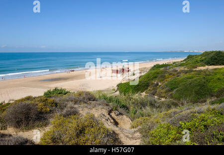 Dunes and beach at Playa de Los Lances, Costa de la Luz, Tarifa, Spain Stock Photo