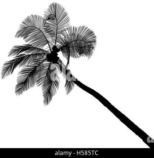 Palm Tree Silhouette Stock Vector