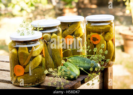 four glasses of pickled cucumbers in the garden Stock Photo
