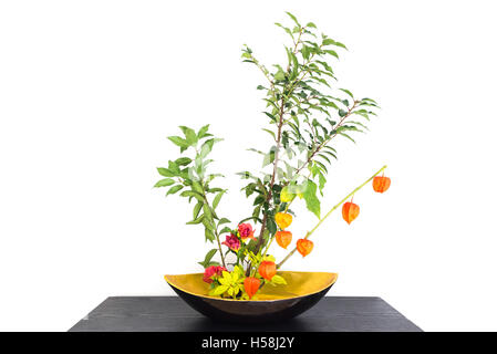 Autumnal japanese flower arrangement (ikebana) with physalis Stock Photo