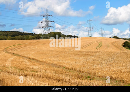 Power pylons in the countryside Stock Photo