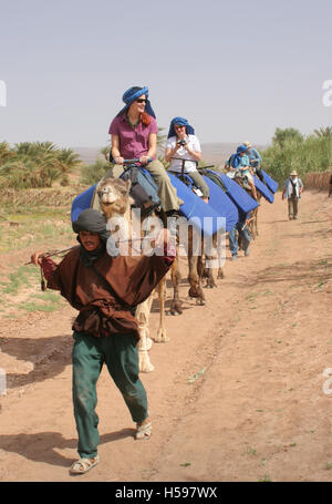 A local guide leads western tourists on a camel trek through an oasis village in the Sahara Desert in Southern Morocco Stock Photo