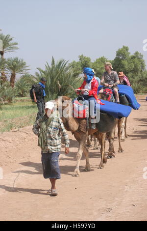 A local guide leads western tourists on a camel trek through an oasis village in the Sahara Desert in Southern Morocco Stock Photo