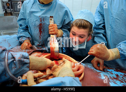 Schoolchildren invited to participate in a simulated surgical operation with a film and tv dummy made by the make-up and prosthe Stock Photo