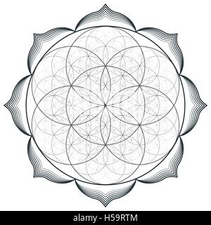 vector contour monochrome design mandala sacred geometry illustration seed flower of life lotus isolated white background Stock Vector