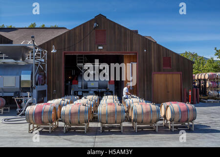 winery worker, employee filling wine barrels, Cakebread Cellars, Rutherford, Napa Valley, Napa County, California Stock Photo