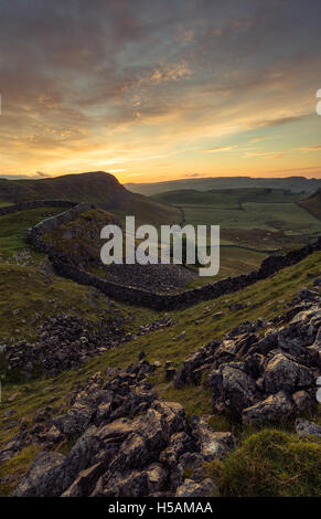 Sunrise over Smearsett with lone standing tree, Yorkshire Dales National Park, England, UK Stock Photo