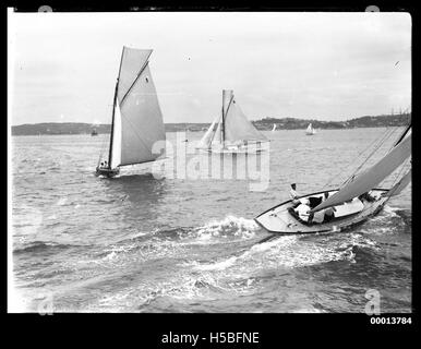 Three sloops on Sydney Harbour Stock Photo