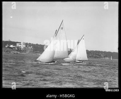 Sloops on Sydney Harbour Stock Photo