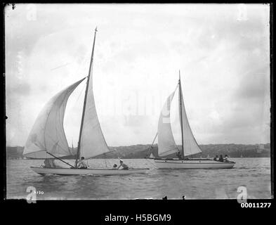 Sloops on Sydney Harbour Stock Photo