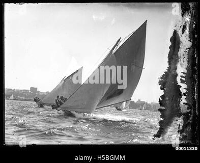 Sloops on Sydney Harbour Stock Photo