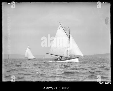 Sloops on Sydney Harbour Stock Photo