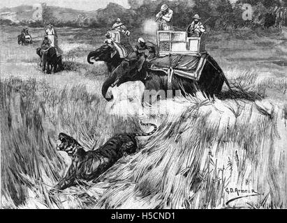 EDWARD, PRINCE OF WALES (1841-1910) later Edward VII on a tiger shoot in Nepal in 1875 Stock Photo