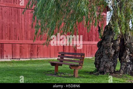 vacant wooden bench under weeping willow tree by red barn Stock Photo