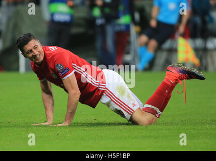 Munich, Germany. 19th Oct, 2016. Bayern Munich's Robert Lewandowski reacts during the UEFA Champions League Group D football match between FC Bayern Munich and PSV Eindhoven in Munich, Germany, Oct. 19, 2016. © Philippe Ruiz/Xinhua/Alamy Live News Stock Photo