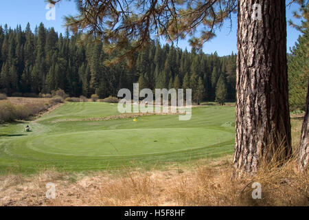 Dec 01, 2005; Wawona, CA, USA; Yosemite's Wawona Golf Course was the first regulation course in the Sierra Nevada when it opened in 1918 -- and has provided golfers challenging but rewarding rounds ever since. It was designed by Walter Fovargue to blend seamlessly into its spectacular surroundings. The nine-hole, par-35 course measures 3,050 yards and includes two par five holes and three par three holes. Different tee positions per side provide a par 70, 18-hole format. Golfers of every level enjoy the rolling terrain, variety of challenging holes and tranquil setting of this historic course. Stock Photo