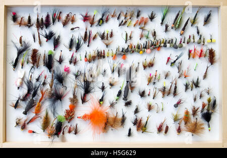 A box with flies for fly fishing wood background. Accessories for