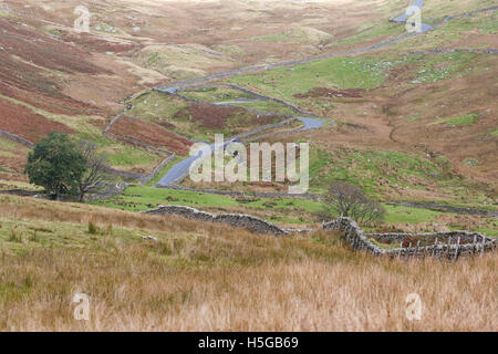 Small country road near the Kirkstone Pass, Lake District, Cumbria, UK. Stock Photo