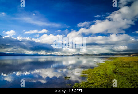 Stunning holy Lake Manasarovar in Central Tibet Stock Photo