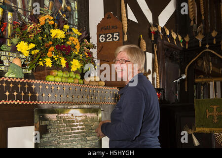 UK, England, Cheshire, Siddington, All Saints Church, Harvest Festival, Sue Furness arranging flowers Stock Photo