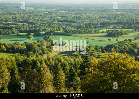 A view from Leith Hill, autumn afternoon. North Downs, Surrey, England. Stock Photo