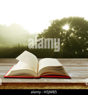 Open book on table in front of forest Stock Photo