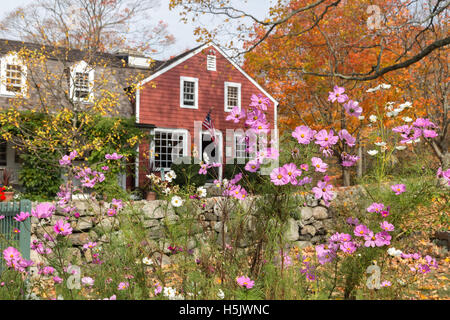 View of Visitors Center at Weir Farm, a National Historic Site in Wilton, CT. Focus on cosmos flowers in the foreground. Stock Photo