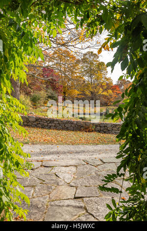 Looking out through trumpet vines on the grounds of Weir Farm National Historic Site. Stock Photo