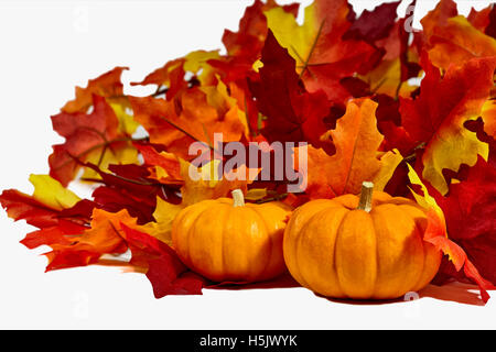 Two mini pumpkins with fake orange, red and yellow leaves isolated on white Stock Photo