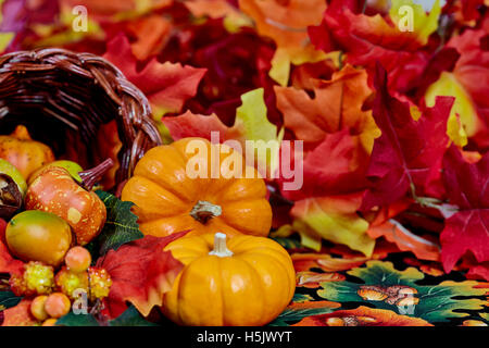 Two mini pumpkins with fake orange, red and yellow leaves isolated on white Stock Photo
