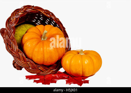 Two mini pumpkins and squash with fake leaves in a  horn of plenty isolated on white with shallow depth of field Stock Photo