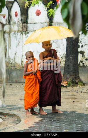 Young buddhist monks carrying an umbrella in the rain, Dimbulagala Buddhist Monastery Near Polonnaruwa, Sri Lanka Stock Photo