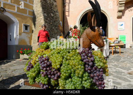 Weißenkirchen in der Wachau: Thanksgiving Weinberggoas (vineyard goat) with wine grapes, Marktplatz (Market Square),  Teisenhofe Stock Photo