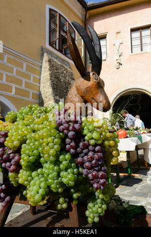 Weißenkirchen in der Wachau: Thanksgiving Weinberggoas (vineyard goat) with wine grapes, Marktplatz (Market Square),  Teisenhofe Stock Photo