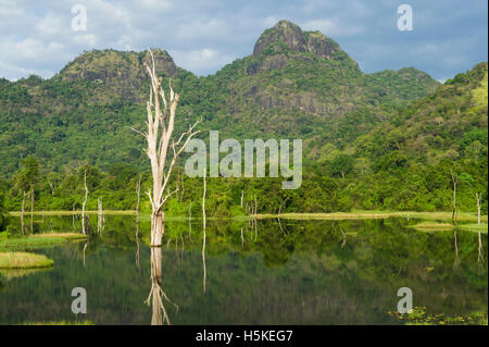 Lake in mountain scenery, Gal Oya National Park, Sri Lanka Stock Photo
