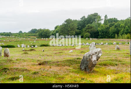 scenery around the  Carnac stones, a megalithic site in Brittany, France Stock Photo