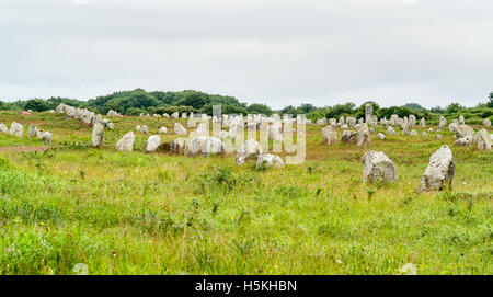 scenery around the  Carnac stones, a megalithic site in Brittany, France Stock Photo