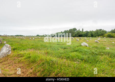 scenery around the  Carnac stones, a megalithic site in Brittany, France Stock Photo