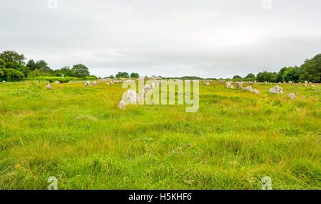 scenery around the  Carnac stones, a megalithic site in Brittany, France Stock Photo