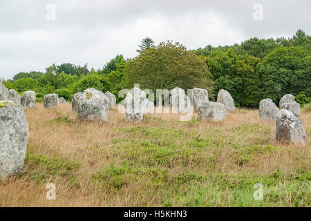 scenery around the  Carnac stones, a megalithic site in Brittany, France Stock Photo