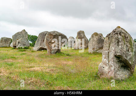 scenery around the  Carnac stones, a megalithic site in Brittany, France Stock Photo