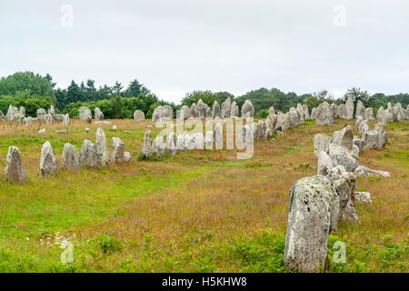 scenery around the  Carnac stones, a megalithic site in Brittany, France Stock Photo