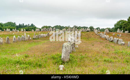 scenery around the  Carnac stones, a megalithic site in Brittany, France Stock Photo